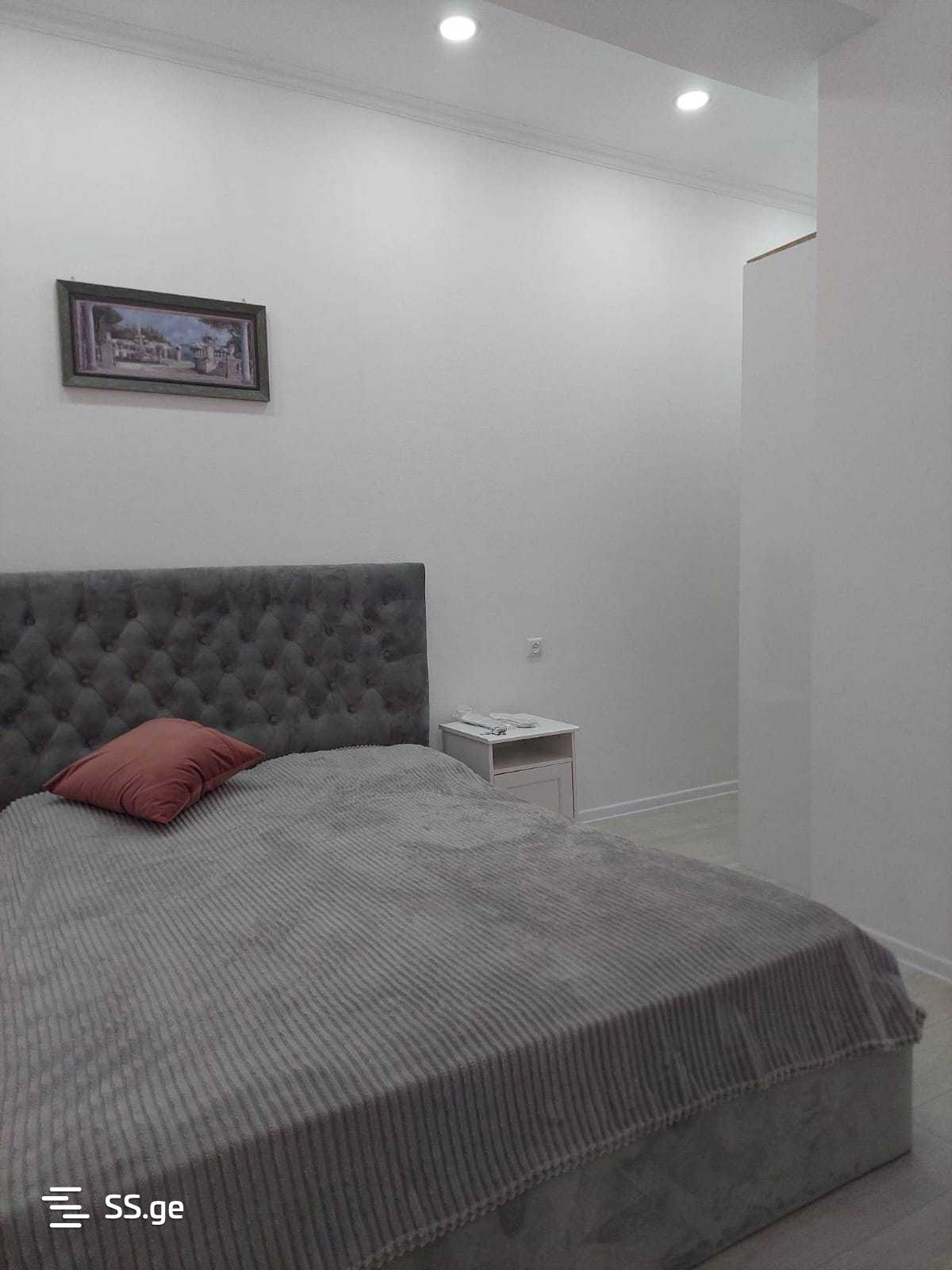 2 Room Flat Daily Rent. Saburtalo view 4