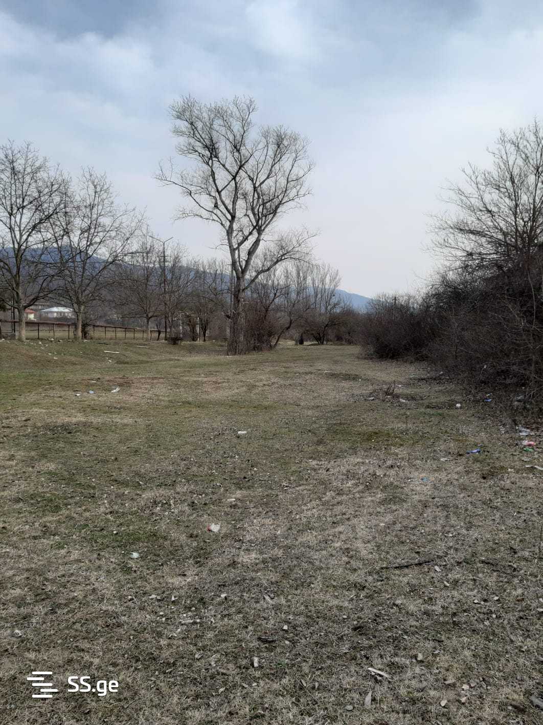 Store-Industrial Property For Sale. Bulachauri view 9