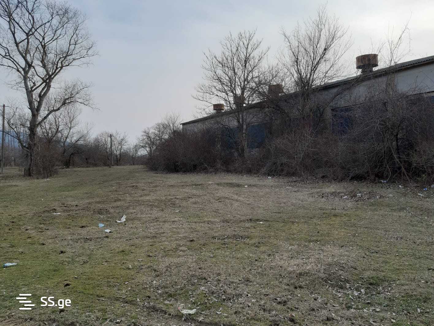 Store-Industrial Property For Sale. Bulachauri view 11