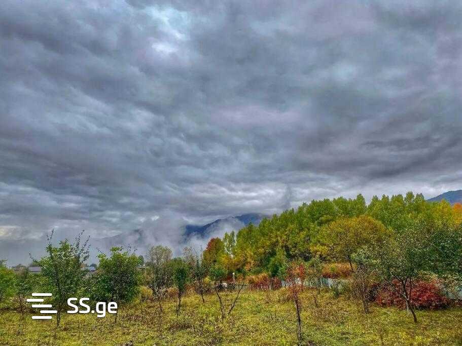 4 Room Private House Daily Rent. Gudauri, 7 of 12