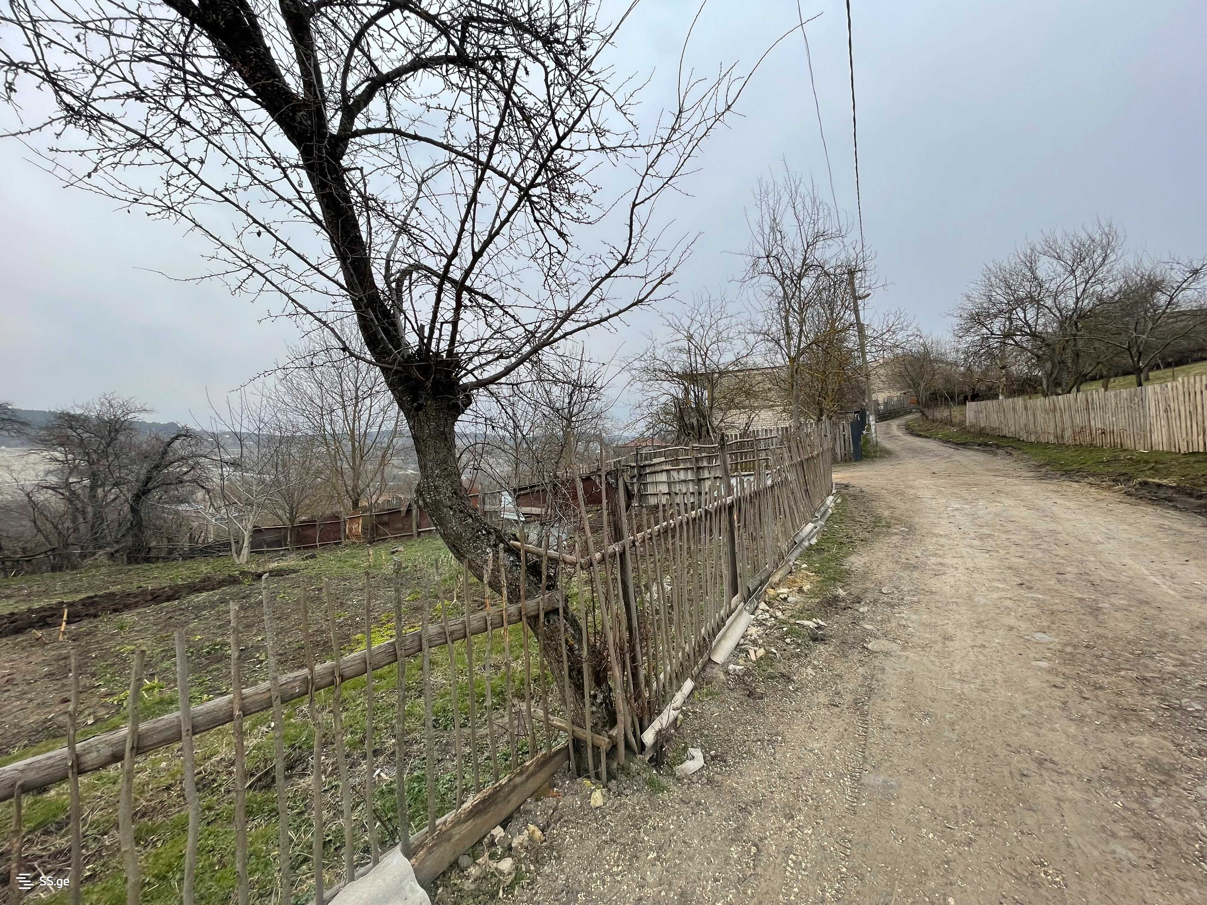 Продажа Земля / участок в Khashurshi view 9
