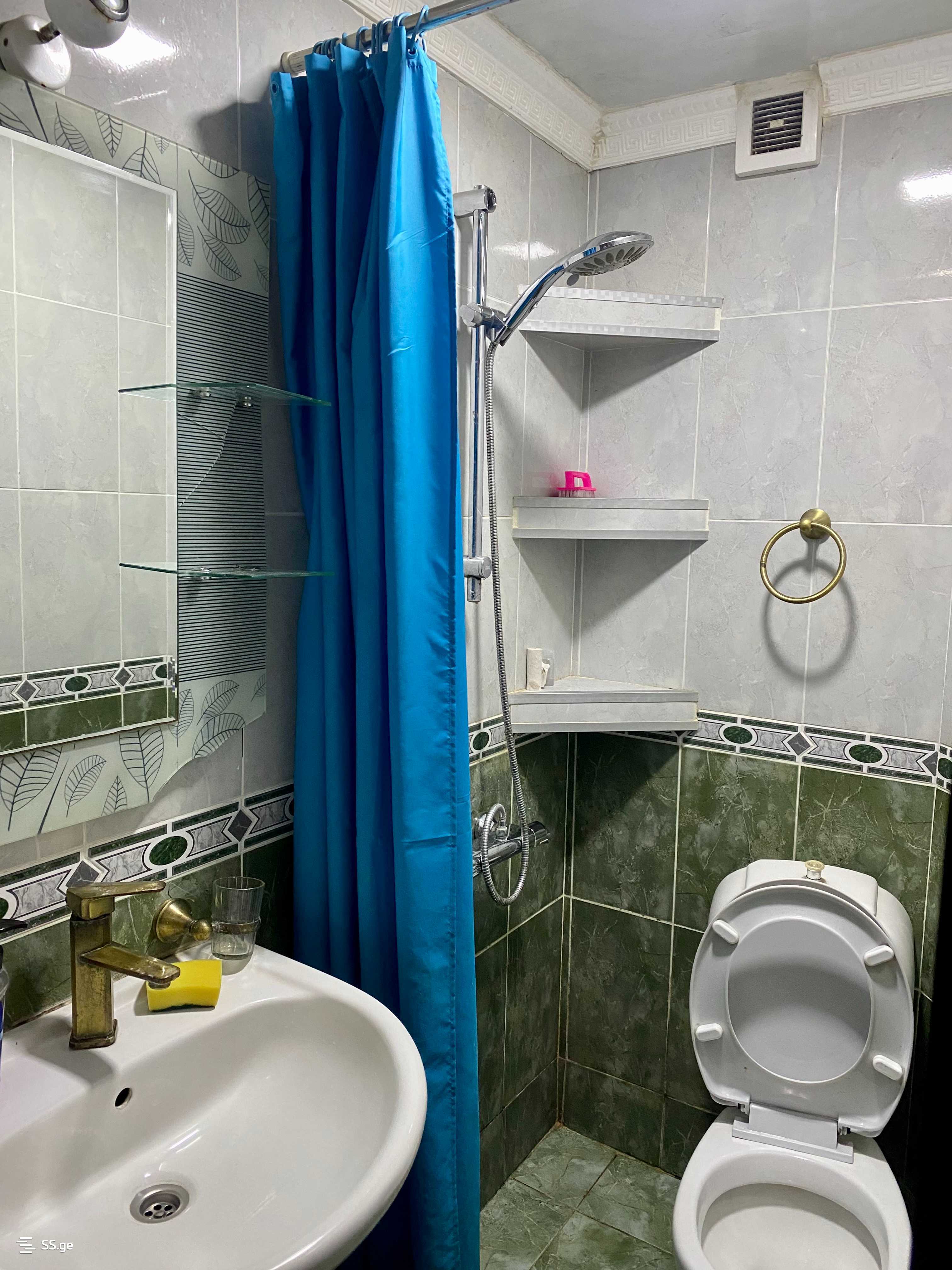 1 Room Flat Daily Rent. Kutaisi view 5