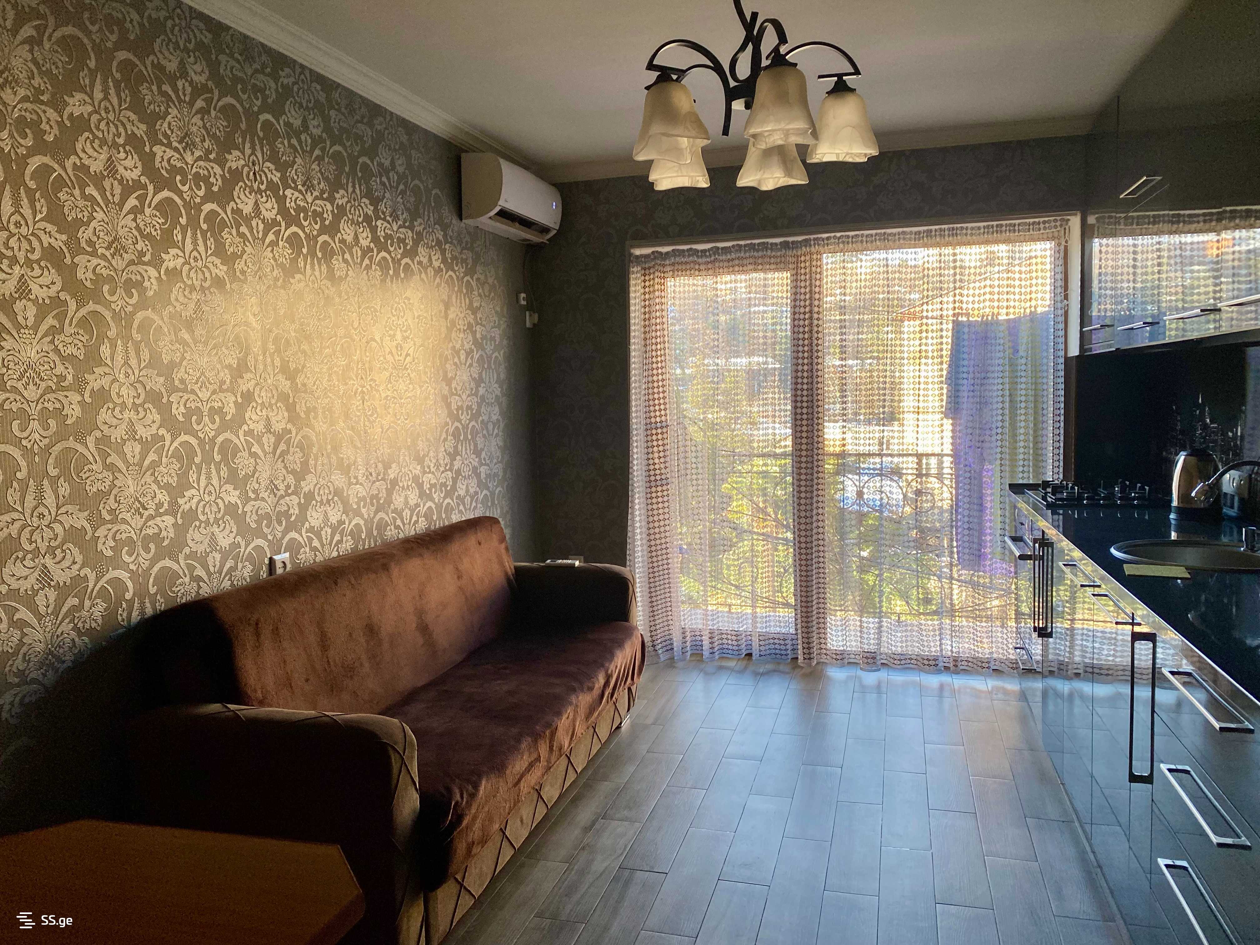 1 Room Flat Daily Rent. Kutaisi view 9