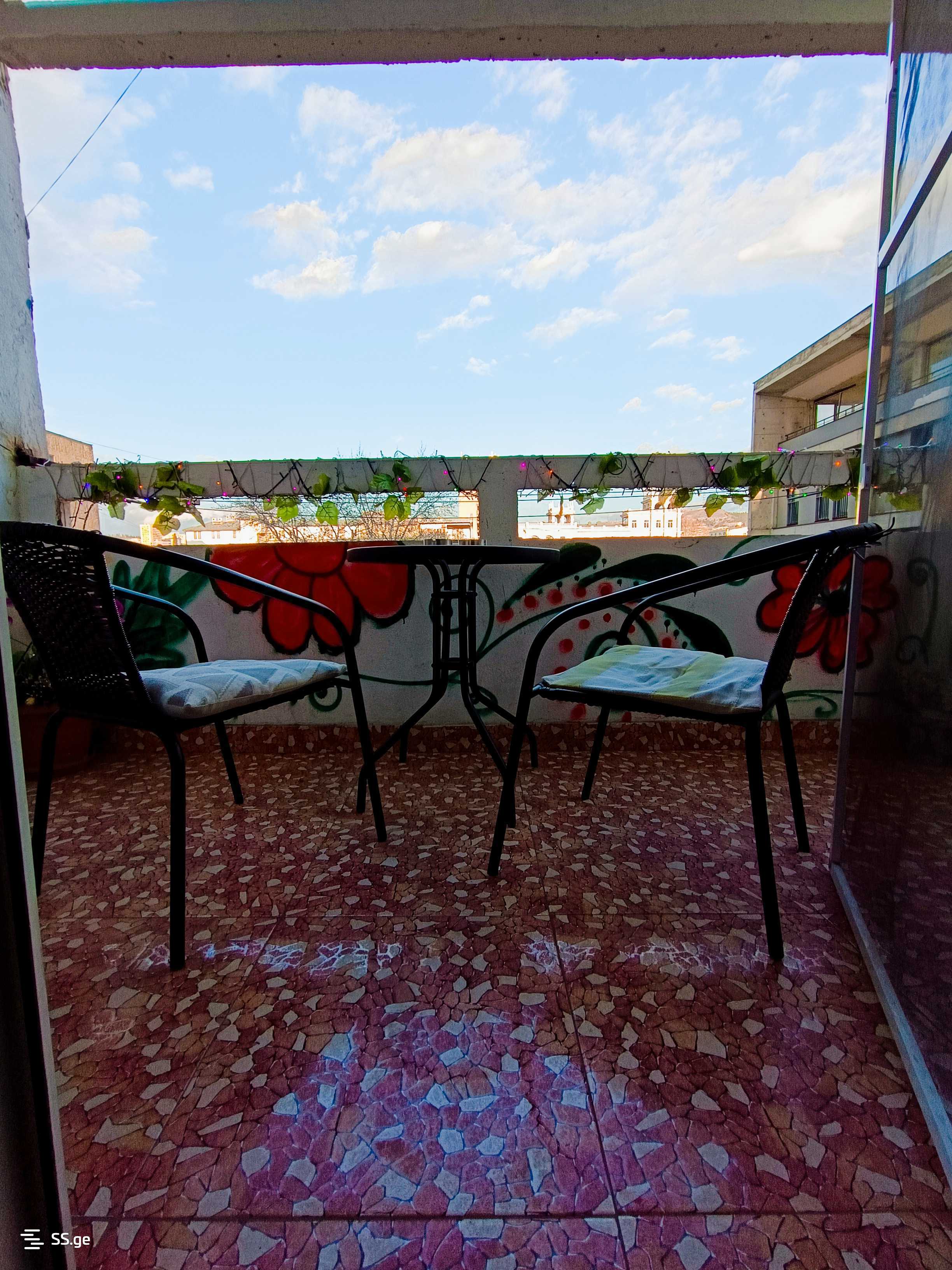 2 Room Flat Daily Rent. Chugureti view 2