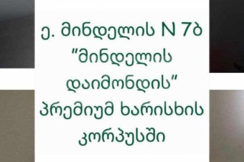 https://static.ss.ge/20240321/12_cf52afe5-4ba3-4a91-9fb4-513fa097a5ba_Thumb.jpg