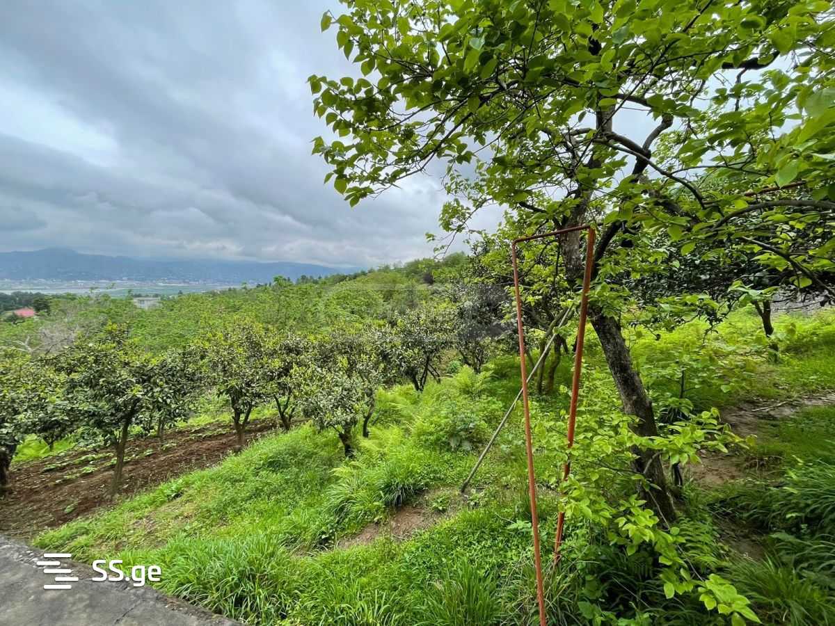 Land For Sale. Akhalsopeli view 4