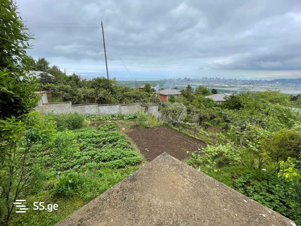 Land For Sale. Akhalsopeli view 3