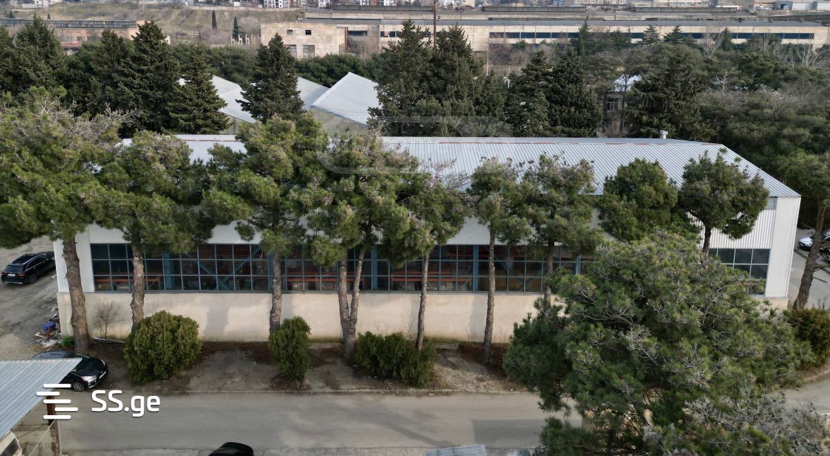 Store-Industrial Property For Rent. Sanzona view 9