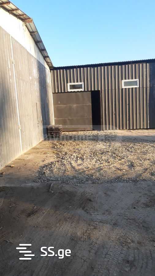 Store-Industrial Property For Rent. Samgori view 5