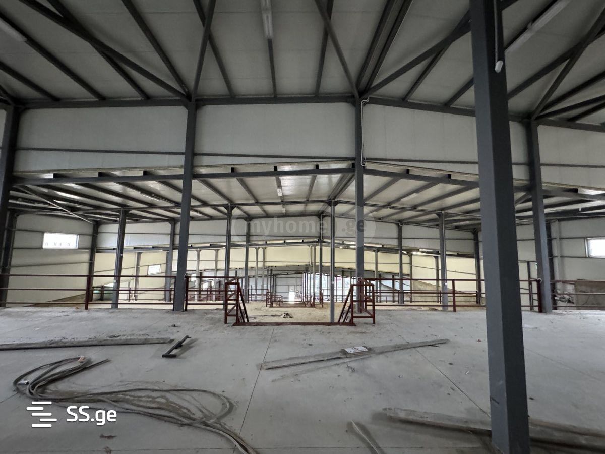 Store-Industrial Property For Rent. Didi Digomi view 2