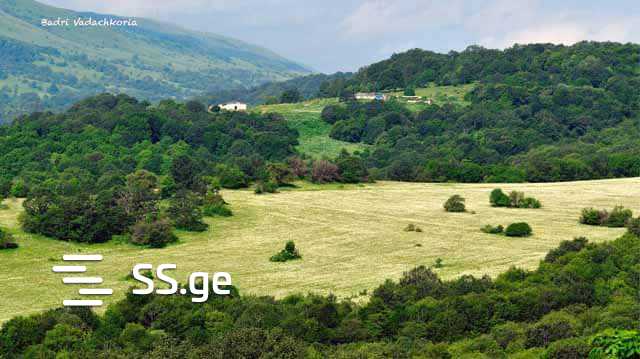 Land For Sale. Gudauri view 2