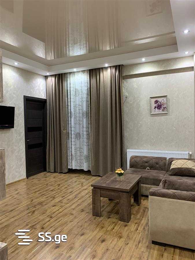 2 Room Flat For Rent. Didube view 3