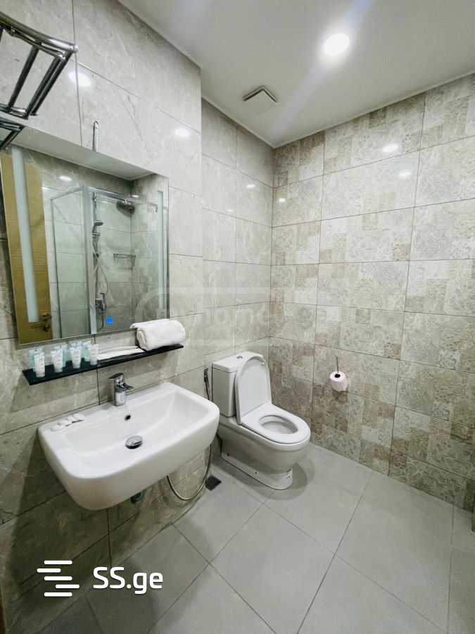 2 Room Flat Daily Rent. Saburtalo view 3
