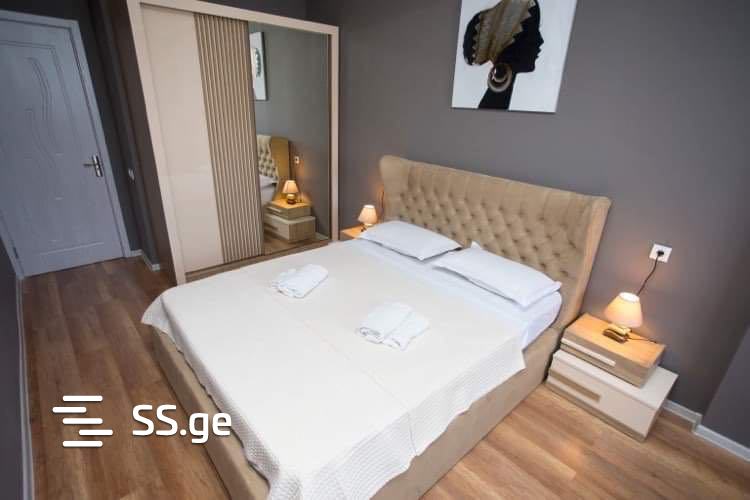 2 Room Flat Daily Rent. Isani view 7