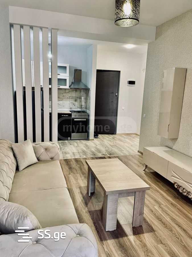 2 Room Flat Daily Rent. Didi Digomi view 2