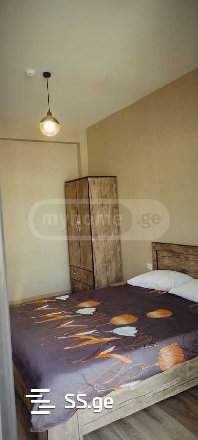 2 Room Flat Daily Rent. Didi Digomi view 4