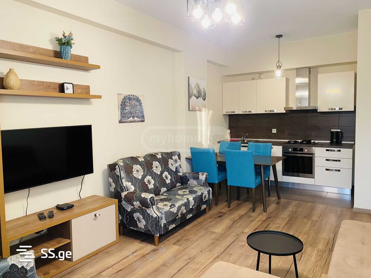 2 Room Flat Daily Rent. Saburtalo view 1