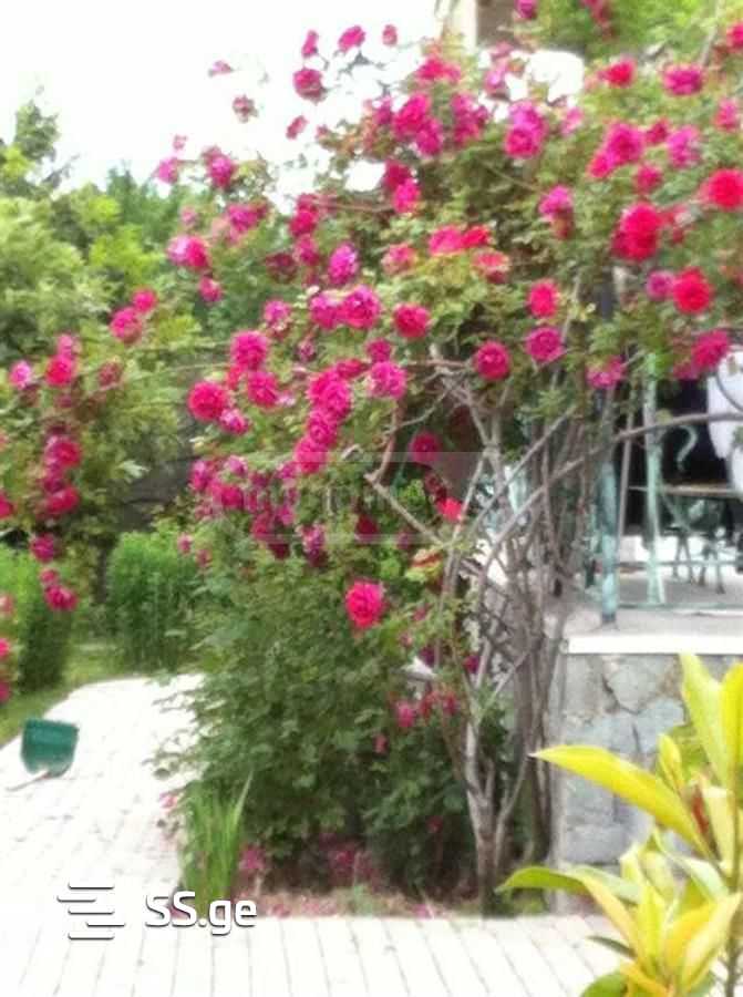 7 Room Private House For Rent. Saguramo view 11