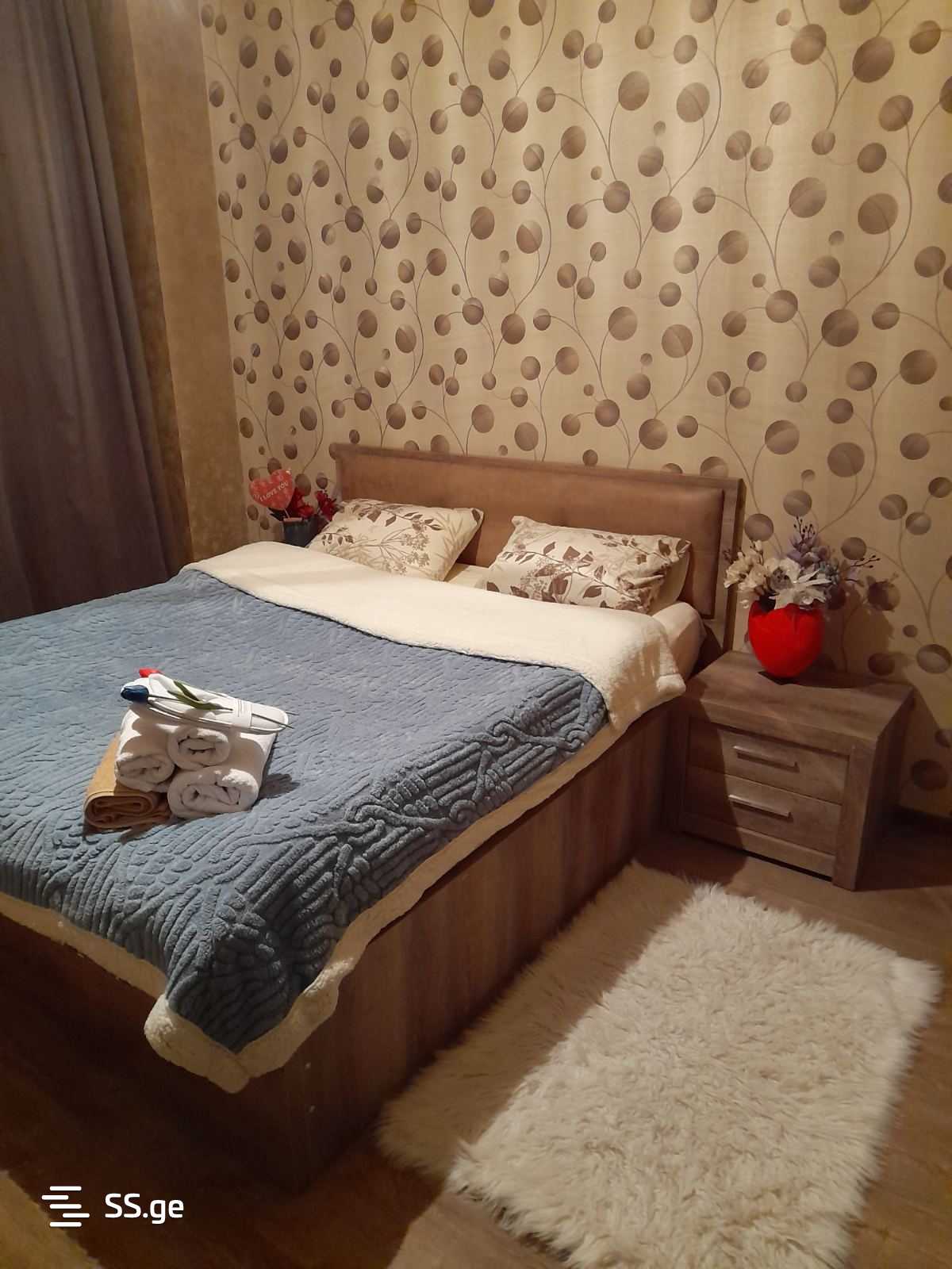 2 Room Flat Daily Rent. Nadzaladevi view 4