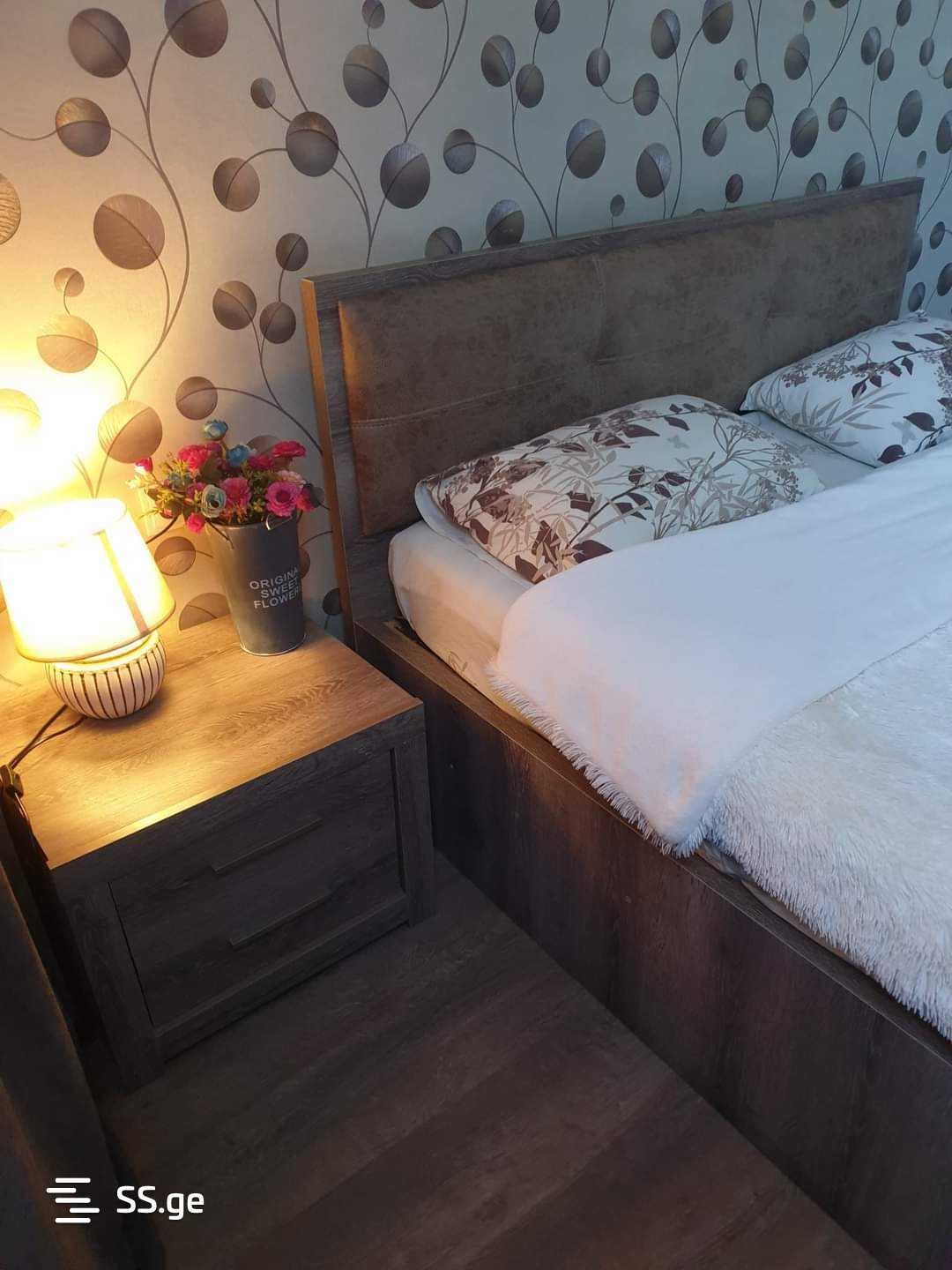 2 Room Flat Daily Rent. Nadzaladevi view 3