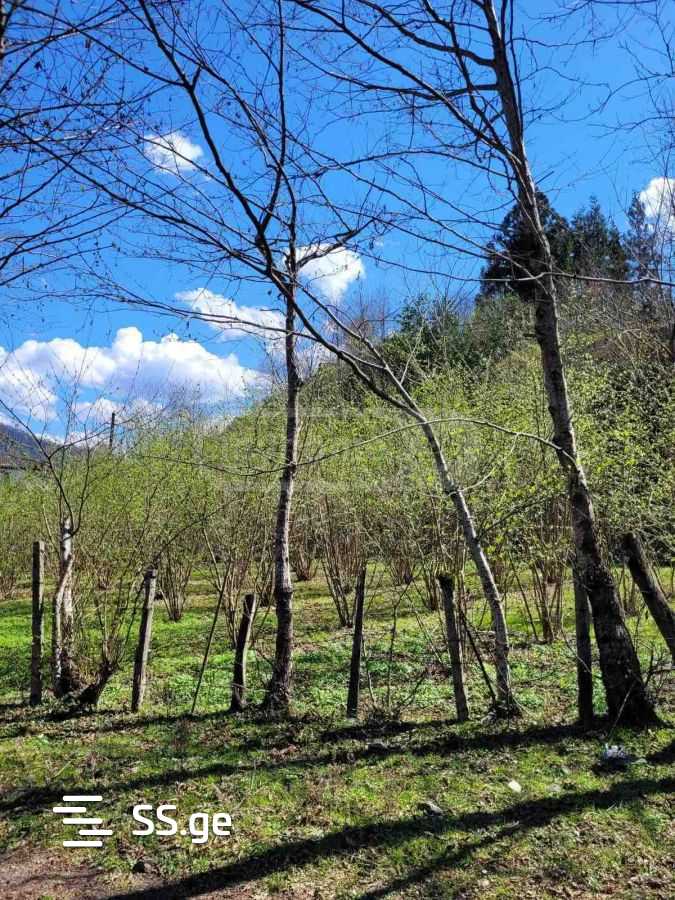 Land For Sale. Chaqvi view 4