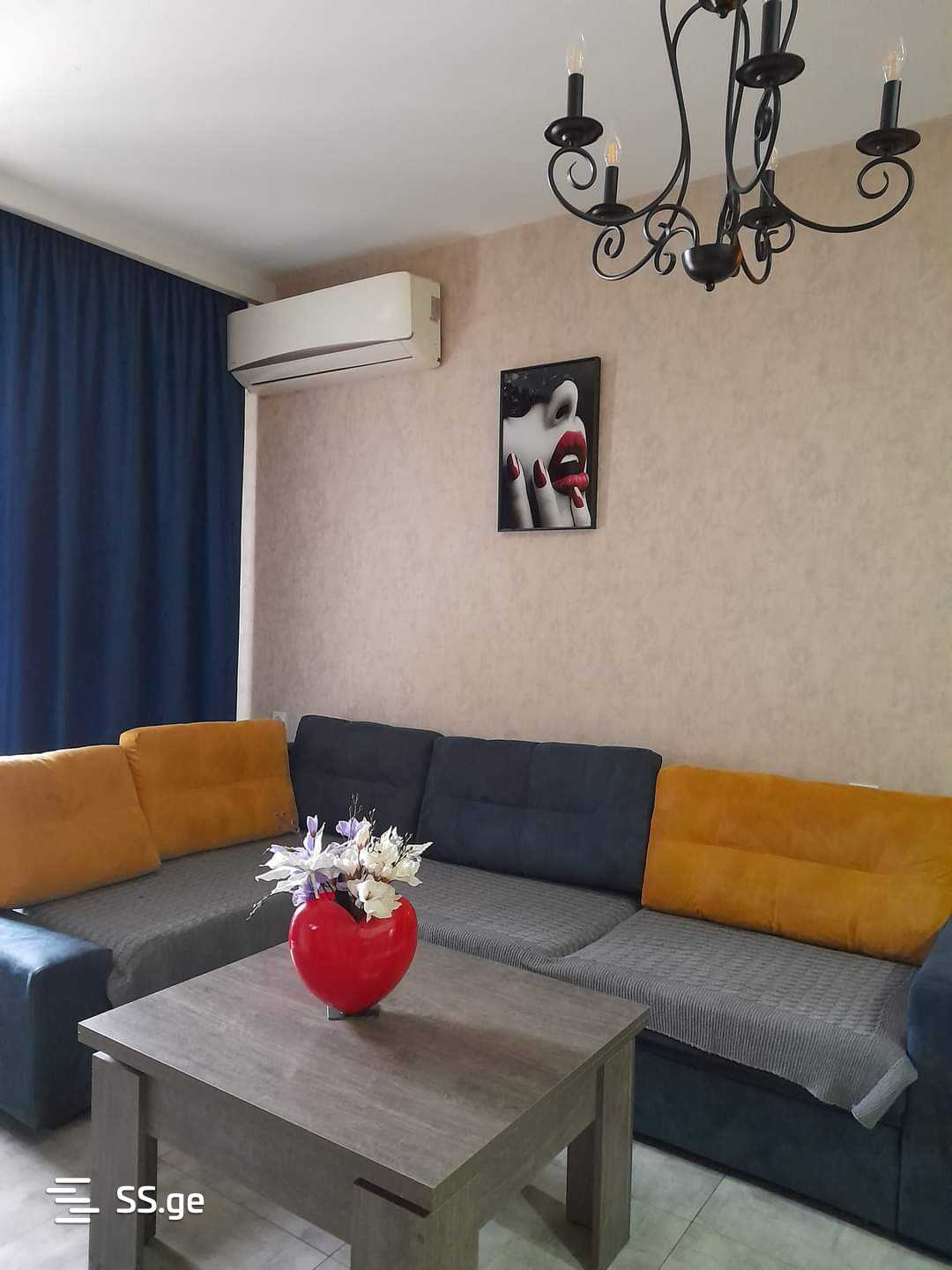 2 Room Flat Daily Rent. Nadzaladevi view 2