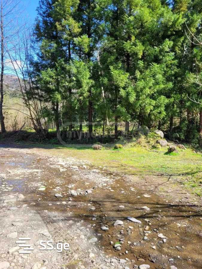 Land For Sale. Chaqvi view 1