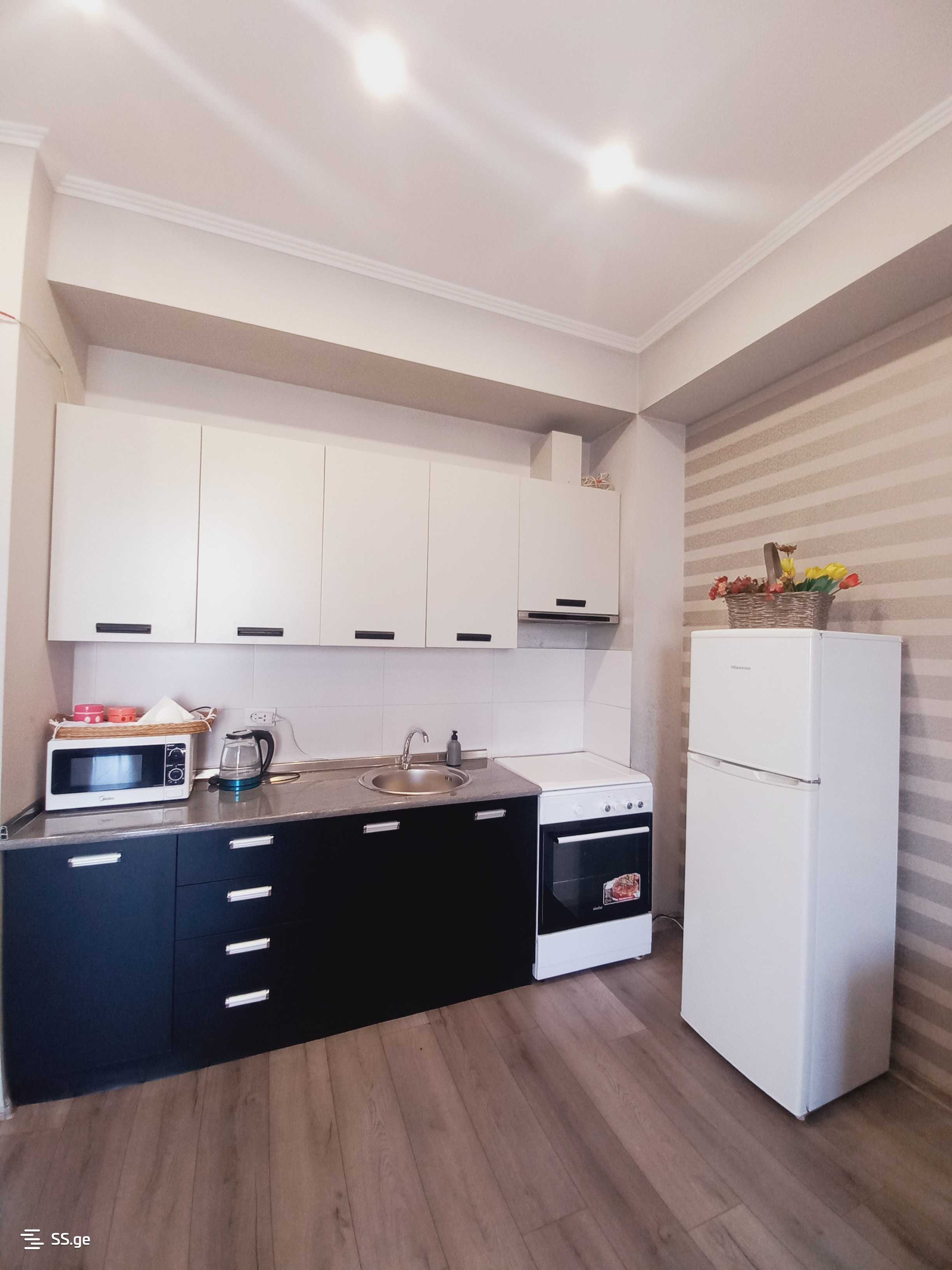 2 Room Flat Daily Rent. Saburtalo view 8