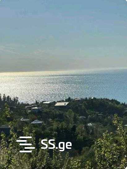 იყიდება მიწა ციხისძირიში view 9