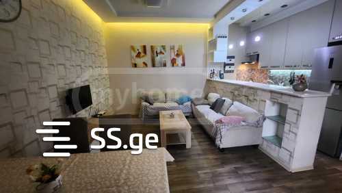 2 Room Flat For Rent. Didube view 2