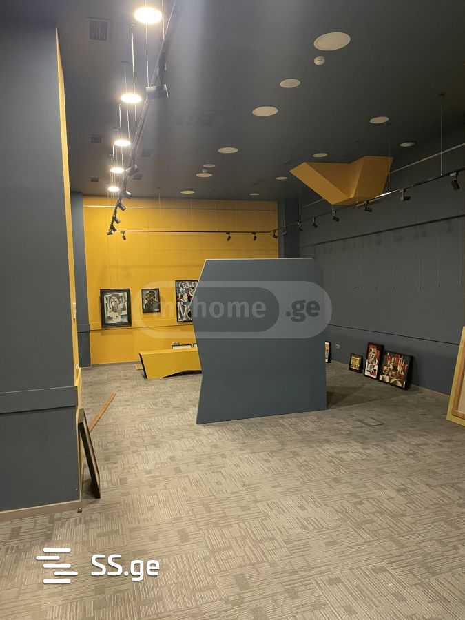 Office For Rent. Mtatsminda view 10