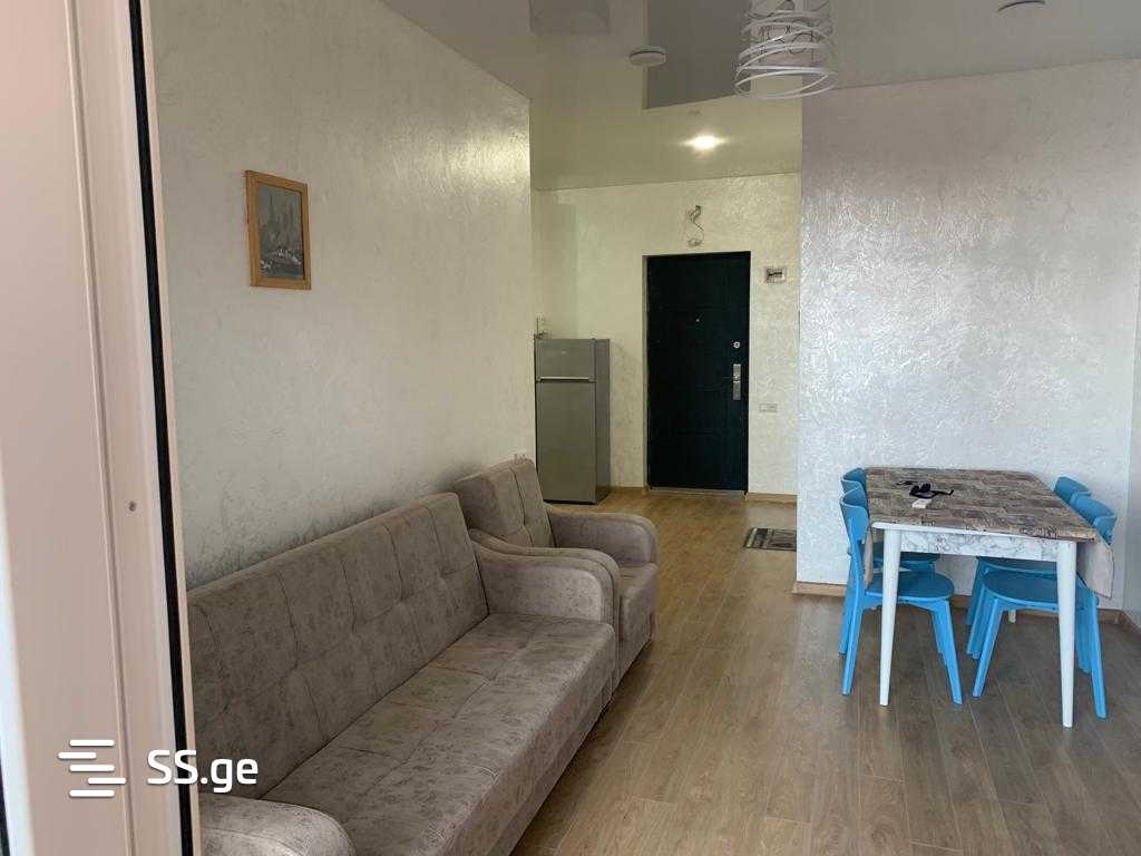 2 Room Flat For Rent. Batumi view 7