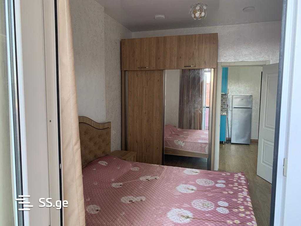 2 Room Flat For Rent. Batumi view 9