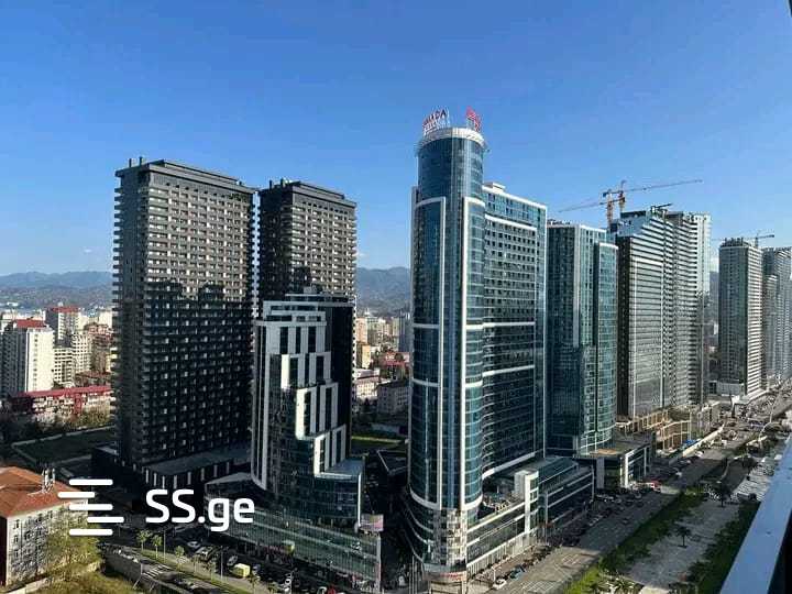 1 Room Apartment Daily Rent In Batumi view 31
