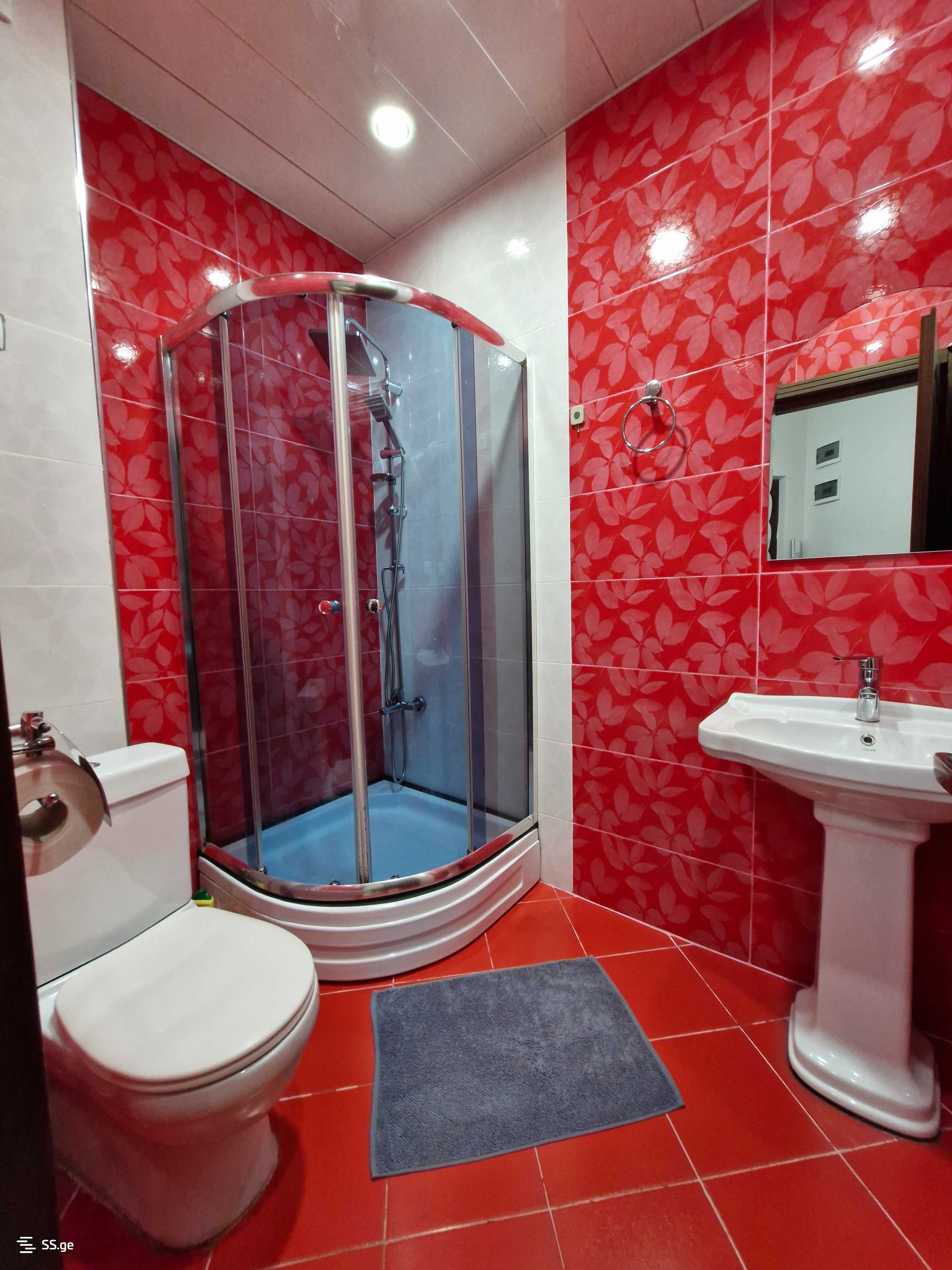 4 Room Flat Daily Rent. Batumi view 10