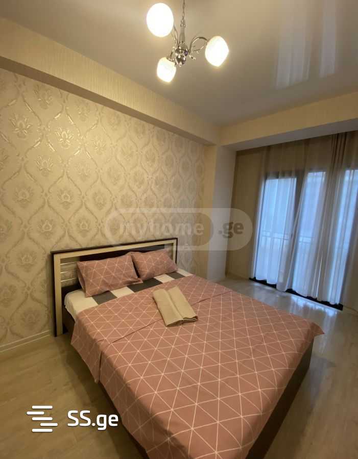 2 Room Flat Daily Rent. Didi Digomi view 1