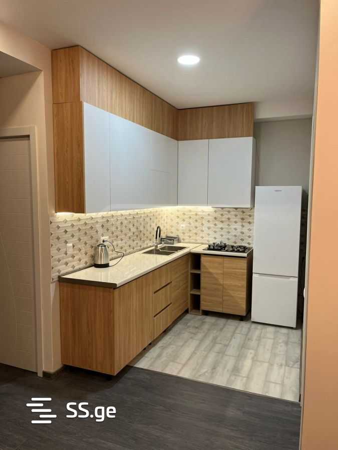 2 Room Flat Daily Rent. Didi Digomi view 6