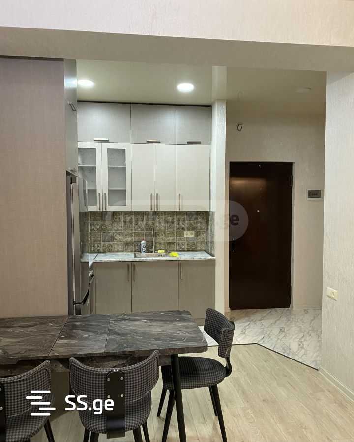 2 Room Flat Daily Rent. Didi Digomi view 5