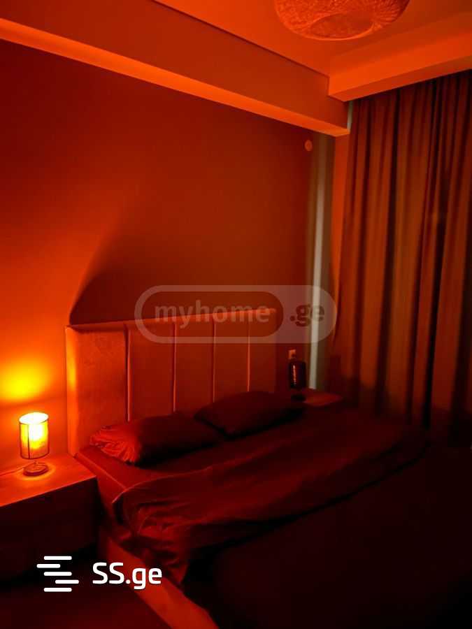 2 Room Flat Daily Rent. Didi Digomi view 5