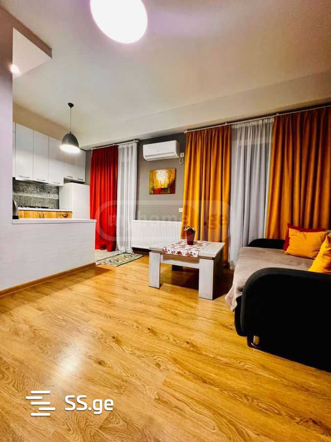 2 Room Flat Daily Rent. Saburtalo view 1