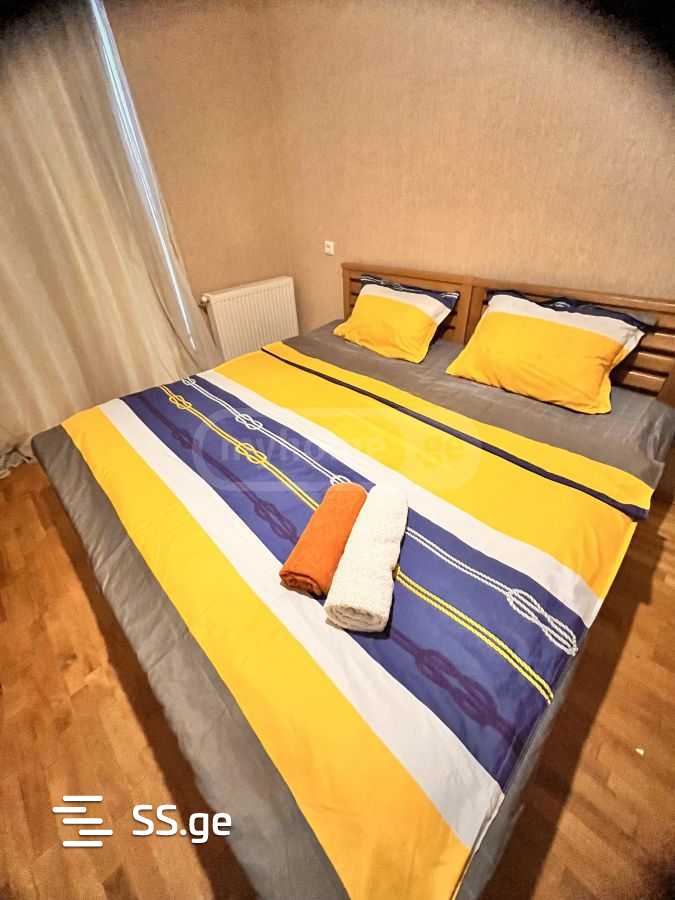 2 Room Flat Daily Rent. Didi Digomi view 5
