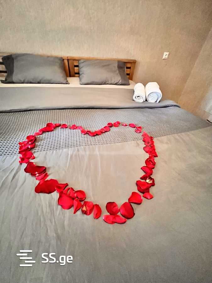 2 Room Flat Daily Rent. Didi Digomi view 8