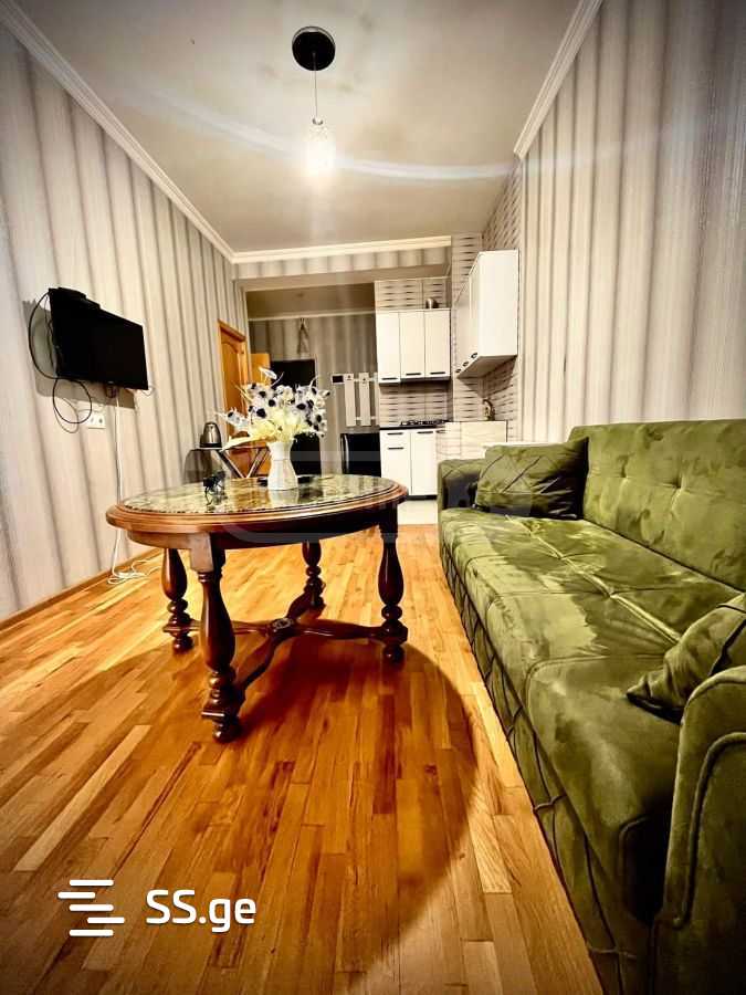 2 Room Flat Daily Rent. Didi Digomi view 6