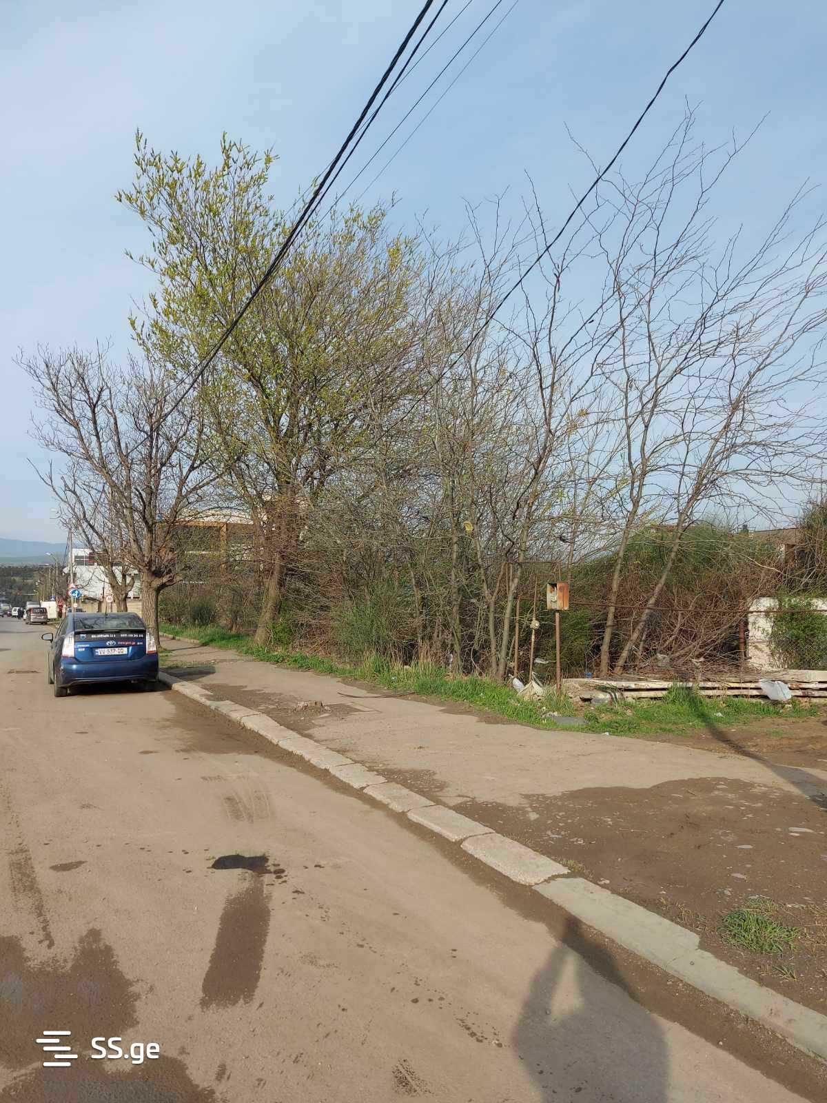 Land For Rent. Ivertubani view 8