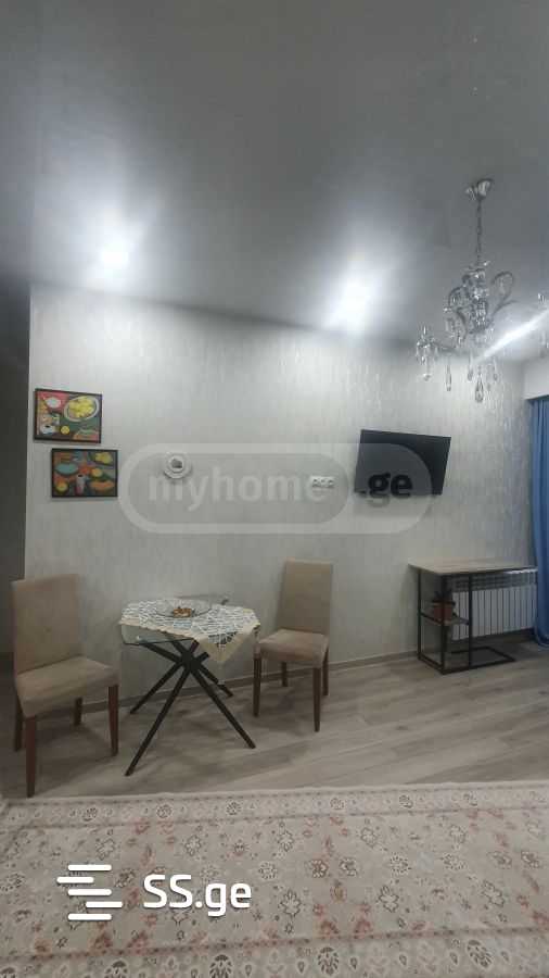 2 Room Flat Daily Rent. Didi Digomi view 3