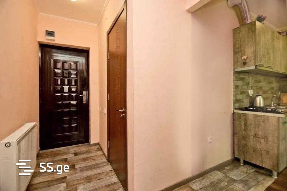 2 Room Flat For Rent. Bakuriani, 3 of 4
