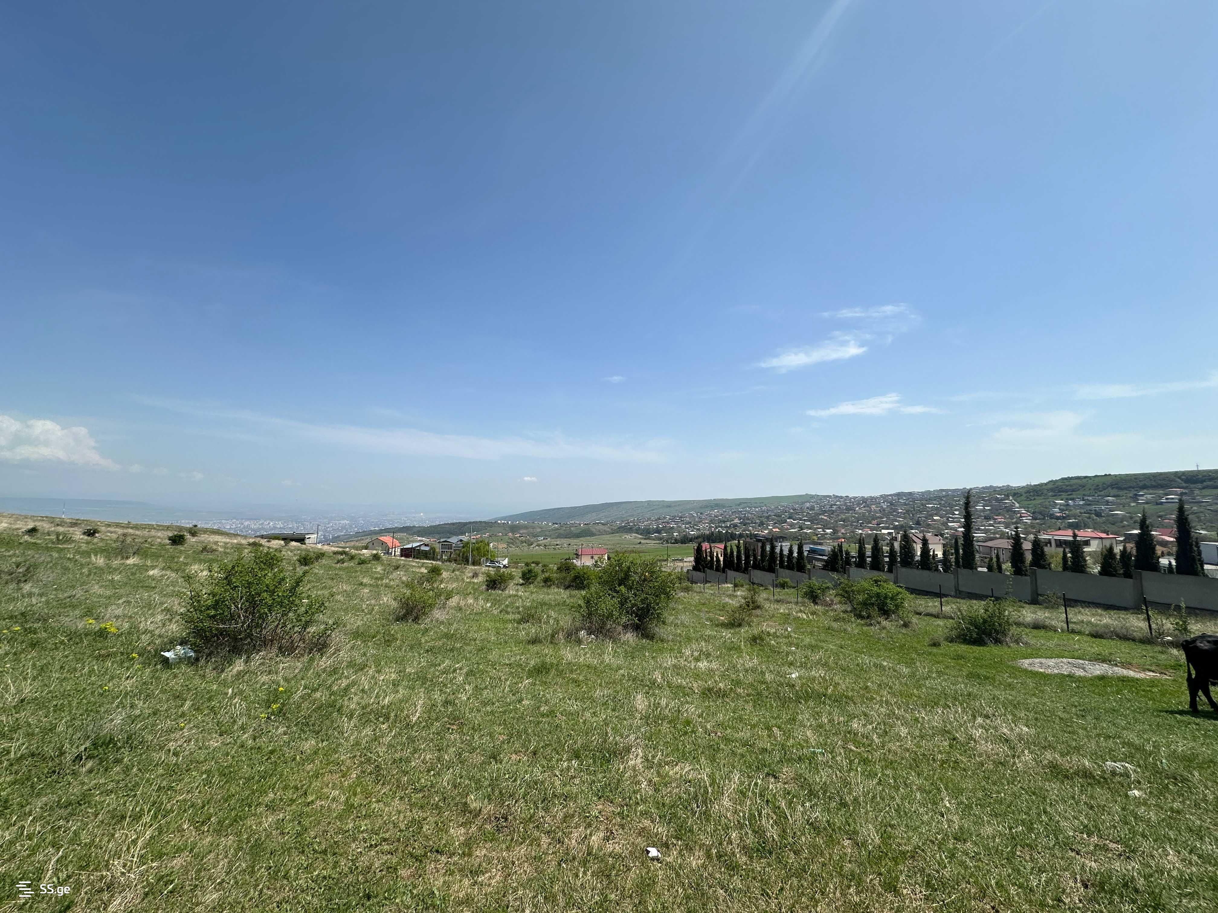Land For Sale. Mtatsminda view 6