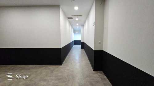 https://static.ss.ge/20240424/5_8d4adb6e-8c1d-47a4-a562-c72f07389470_Thumb.jpg