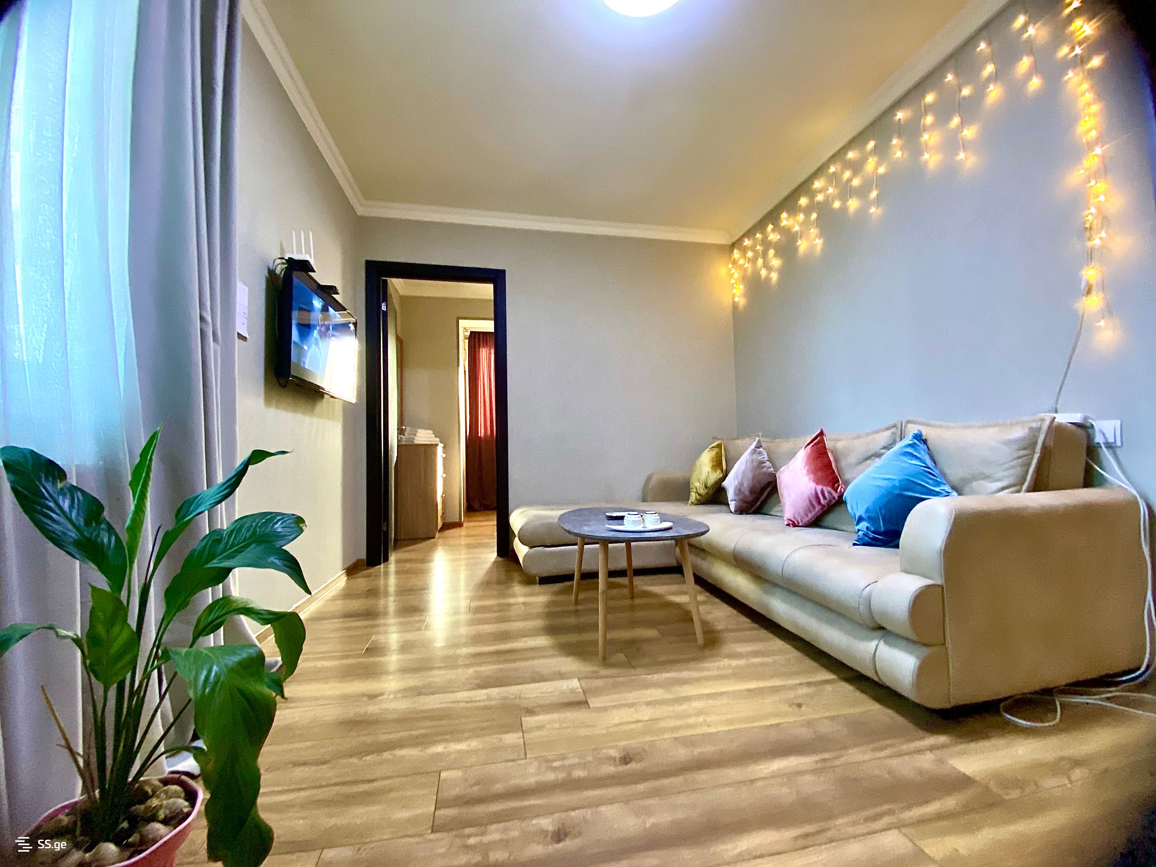 2 room Flat Daily rent. Chugureti, Tbilisi
