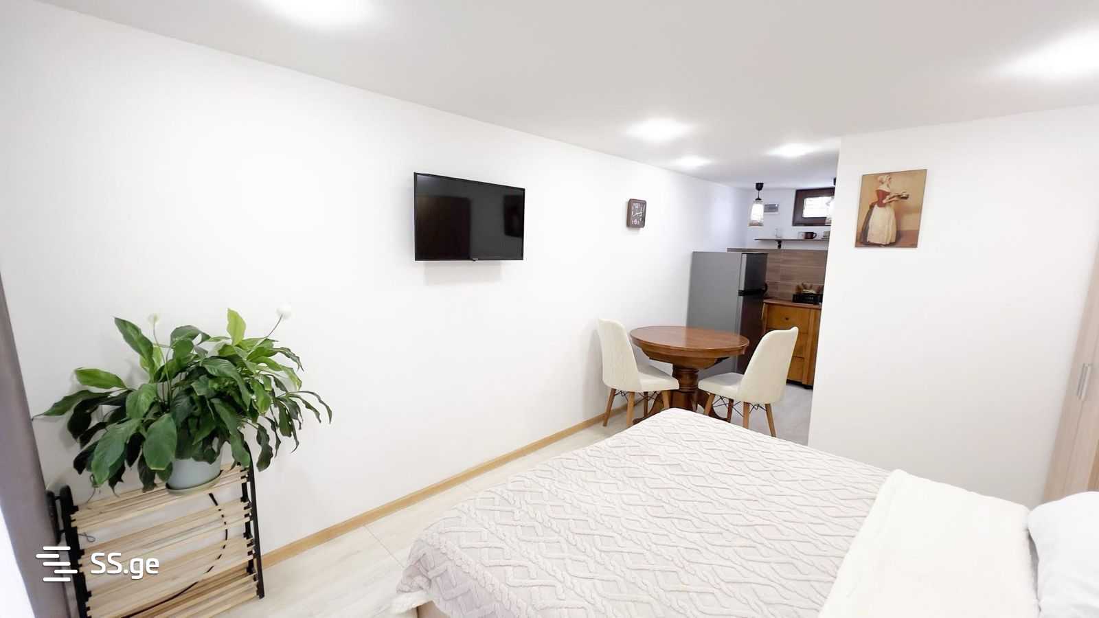 1 Room Flat Daily Rent. Vake view 9